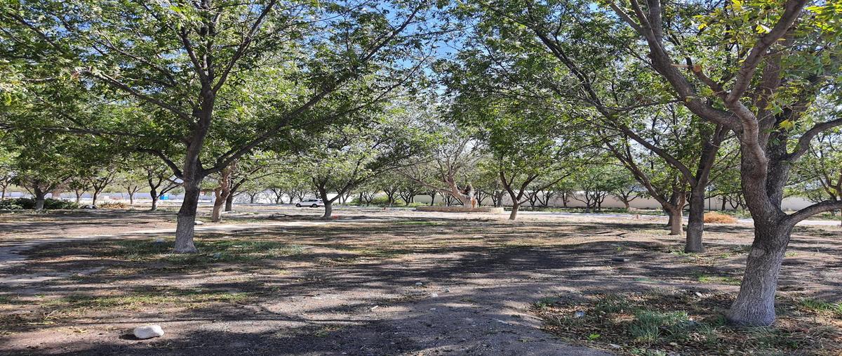 Foto de terreno habitacional en venta en  , la joya, arteaga, coahuila de zaragoza, 0 No. 05