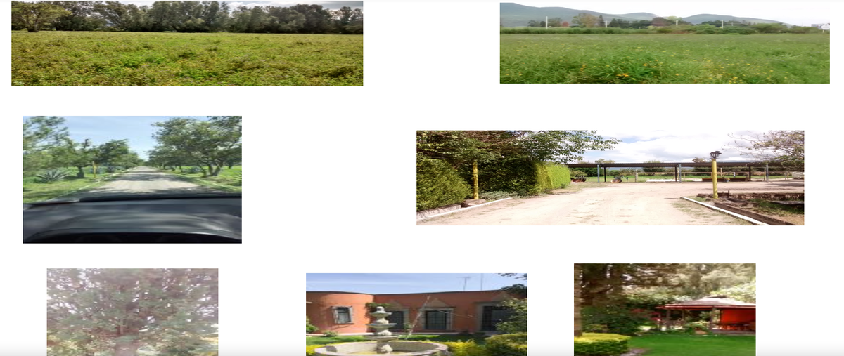 Foto de rancho en venta en  , la joya, celaya, guanajuato, 26492891 No. 03