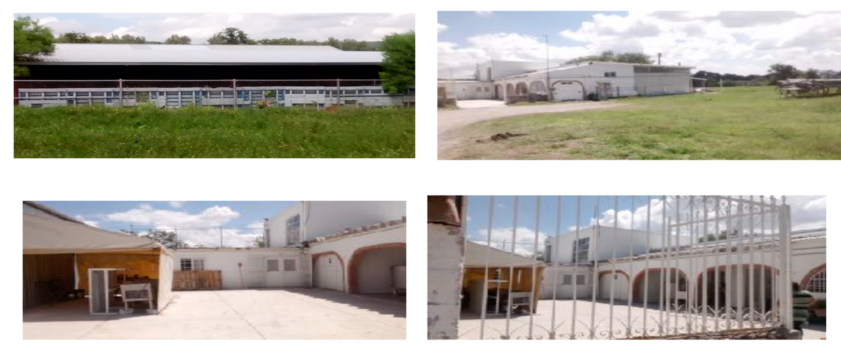Foto de rancho en venta en  , la joya, celaya, guanajuato, 26492891 No. 05