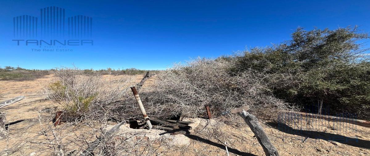 Foto de terreno habitacional en venta en  , la joya de los cabos, los cabos, baja california sur, 0 No. 04