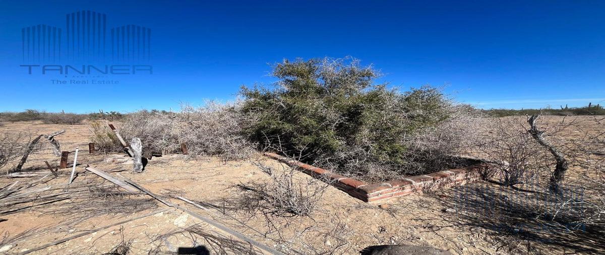 Foto de terreno habitacional en venta en  , la joya de los cabos, los cabos, baja california sur, 0 No. 05