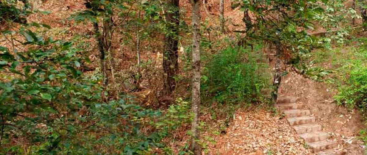 Foto de terreno habitacional en venta en la joya, monte alto , valle de bravo, valle de bravo, méxico, 0 No. 03