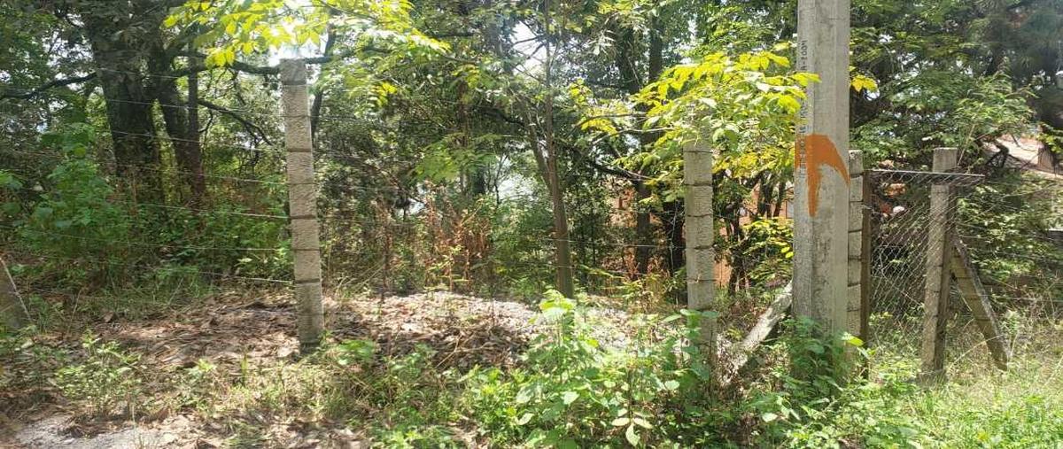 Foto de terreno habitacional en venta en la joya, monte alto , valle de bravo, valle de bravo, méxico, 0 No. 05