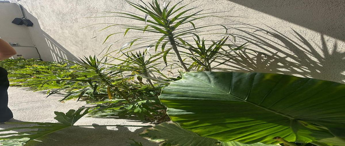 Foto de casa en , la joya, querétaro, querétaro, 0 foto 03 Foto de casa en venta en , la joya, querétaro, querétaro, 0 No. 03