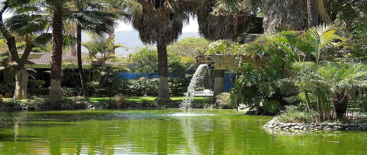 Foto de rancho en venta en la joya , santa maría coapan, tehuacán, puebla, 30178668 No. 04