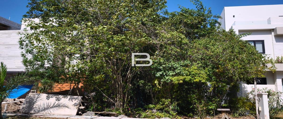 Foto de terreno habitacional en venta en  , la joya, solidaridad, quintana roo, 0 No. 05