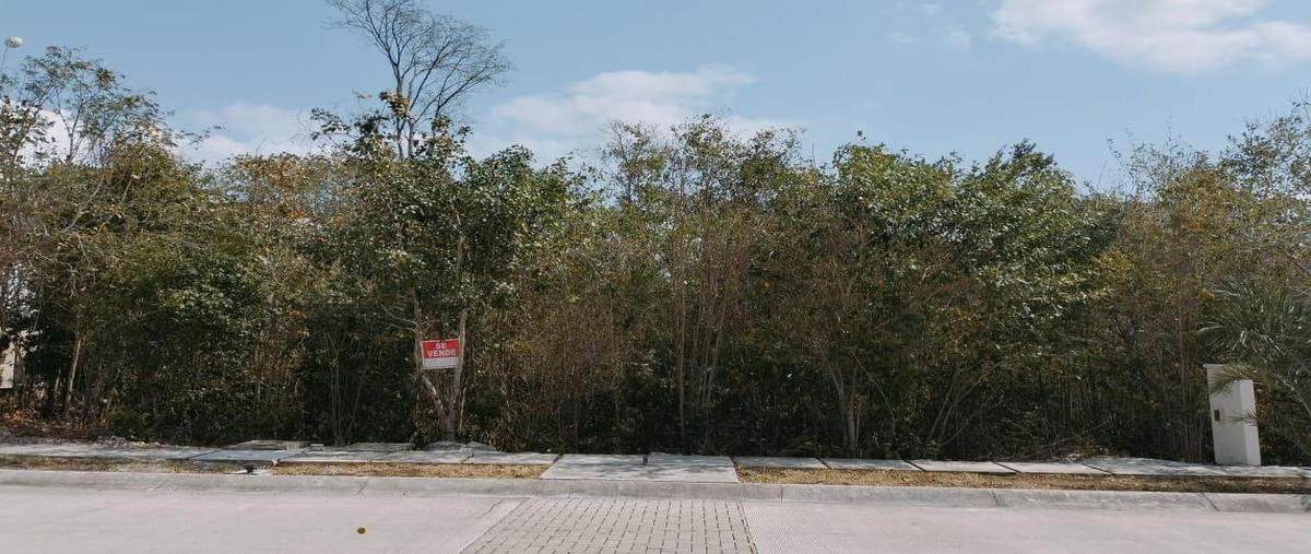 Foto de terreno habitacional en , la joya xamanha, solidaridad, quintana roo, 30427800 foto 03 Foto de terreno habitacional en venta en , la joya xamanha, solidaridad, quintana roo, 30427800 No. 03