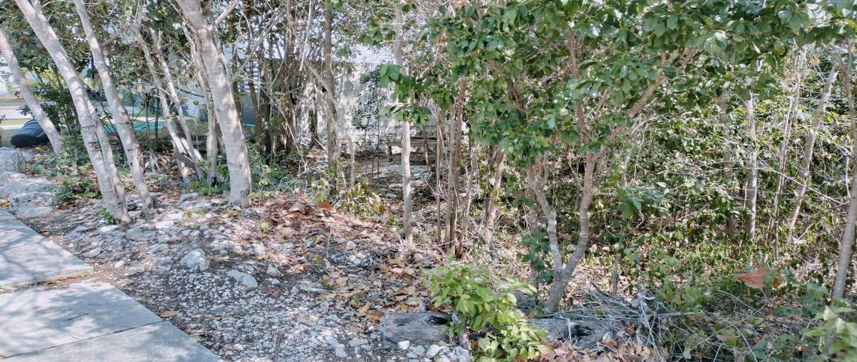 Foto de terreno habitacional en , la joya xamanha, solidaridad, quintana roo, 30427800 foto 05 Foto de terreno habitacional en venta en , la joya xamanha, solidaridad, quintana roo, 30427800 No. 05