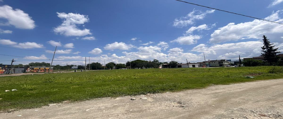 Foto de terreno habitacional en renta en  , la joyita, silao de la victoria, guanajuato, 0 No. 03