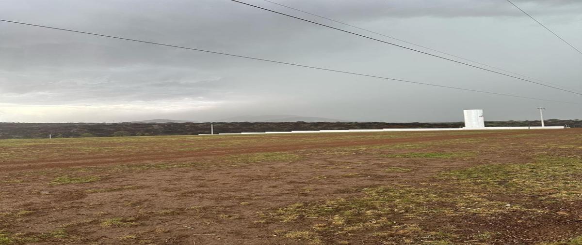 Foto de terreno habitacional en venta en  , la junta centro, guerrero, chihuahua, 0 No. 03