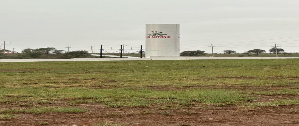 Foto de terreno habitacional en venta en  , la junta centro, guerrero, chihuahua, 0 No. 04