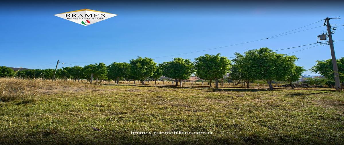 Foto de terreno habitacional en , la labor de zaragoza, tejupilco, méxico, 29381105 foto 04 Foto de terreno habitacional en venta en , la labor de zaragoza, tejupilco, méxico, 29381105 No. 04