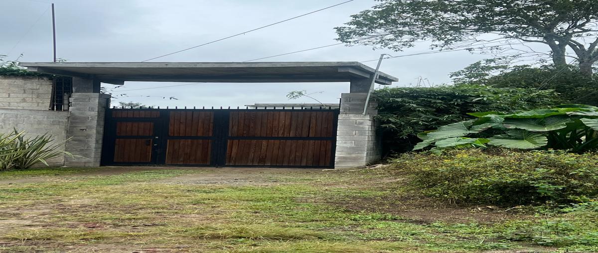 Foto de casa en venta en  , la laguna, coatepec, veracruz de ignacio de la llave, 29208680 No. 03