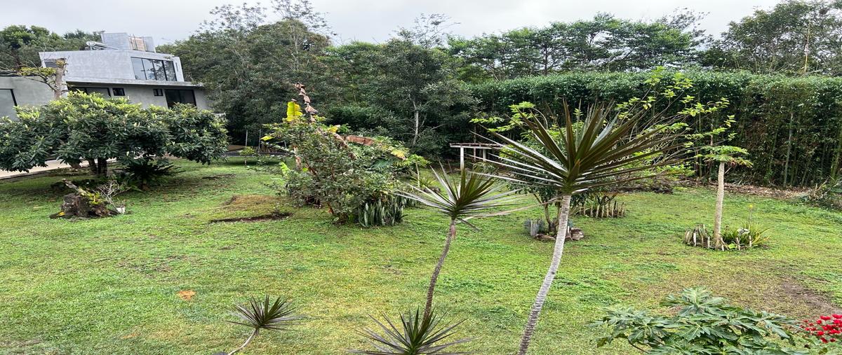 Foto de casa en venta en  , la laguna, coatepec, veracruz de ignacio de la llave, 29208680 No. 05
