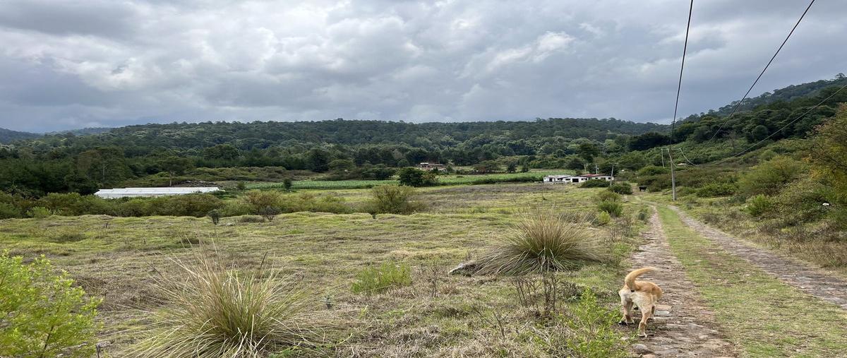 Foto de terreno habitacional en venta en la laguna , la laguna, valle de bravo, méxico, 30126056 No. 04