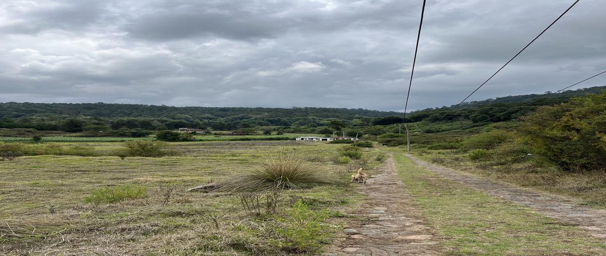 Foto de terreno habitacional en venta en la laguna , la laguna, valle de bravo, méxico, 30126056 No. 05