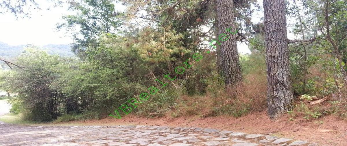 Foto de terreno habitacional en venta en  , la laguna, valle de bravo, méxico, 25638956 No. 03