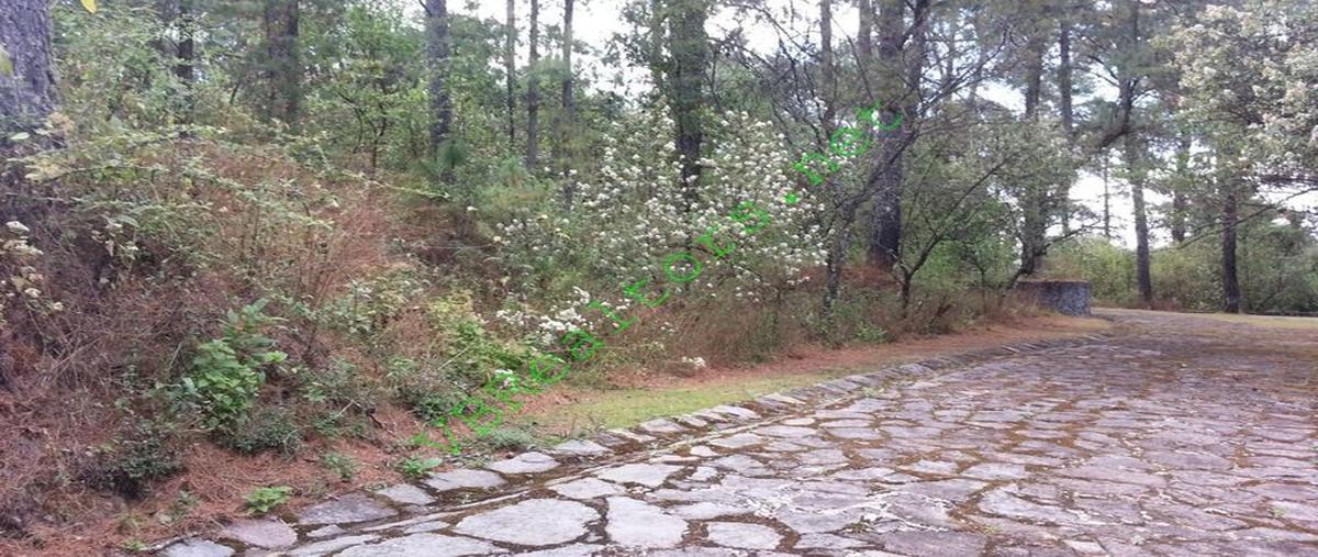 Foto de terreno habitacional en venta en  , la laguna, valle de bravo, méxico, 25638956 No. 05