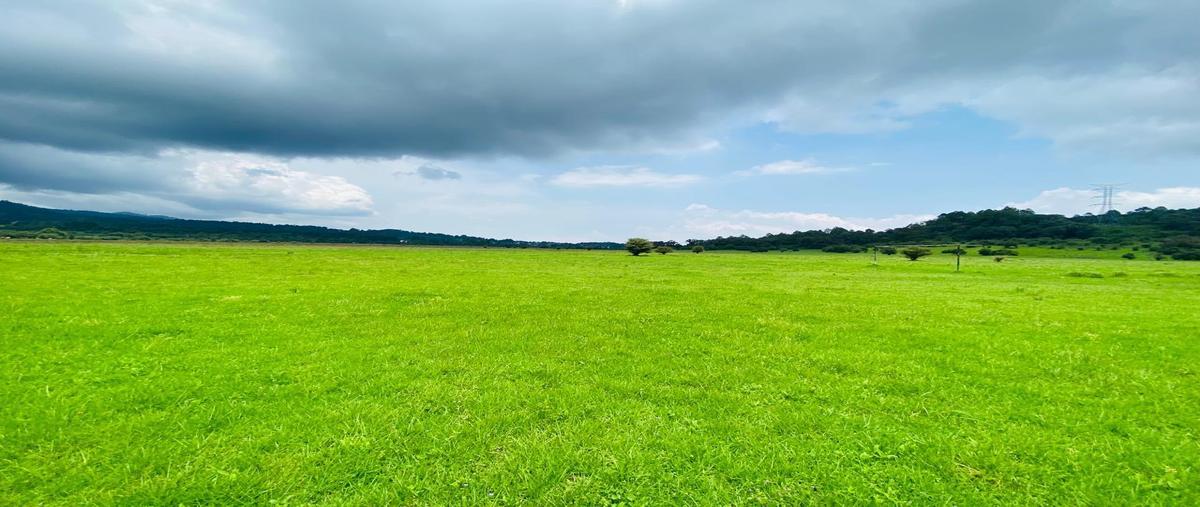 Foto de terreno habitacional en venta en  , la laguna, valle de bravo, méxico, 0 No. 03