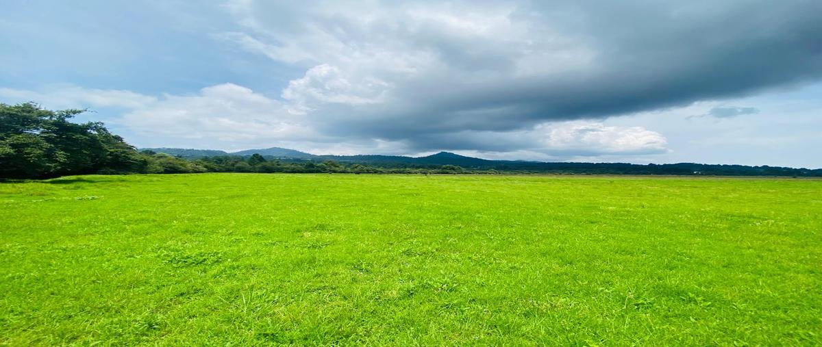 Foto de terreno habitacional en venta en  , la laguna, valle de bravo, méxico, 0 No. 05
