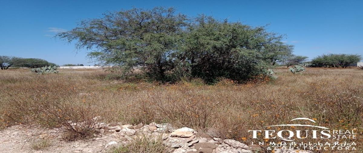 Foto de terreno habitacional en venta en  , la lagunita, tequisquiapan, querétaro, 28816472 No. 05