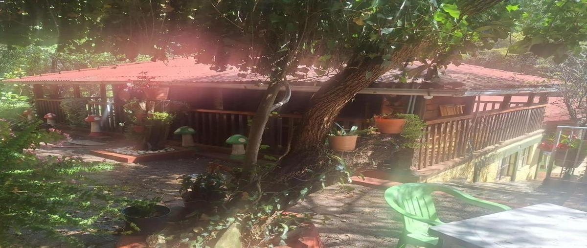 Foto de terreno habitacional en venta en  , la laja, acuitzio, michoacán de ocampo, 0 No. 03