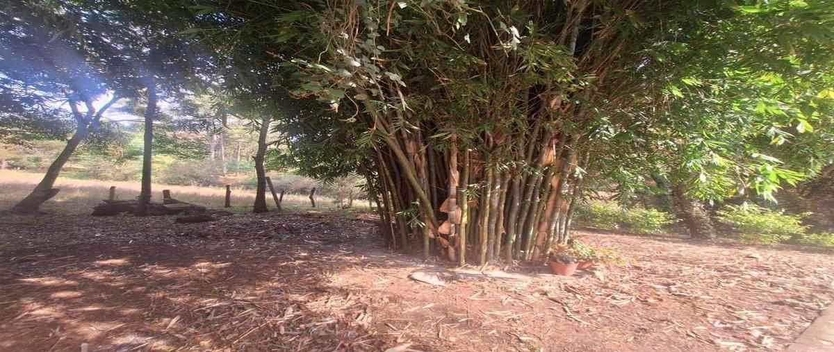 Foto de terreno habitacional en venta en  , la laja, acuitzio, michoacán de ocampo, 0 No. 04