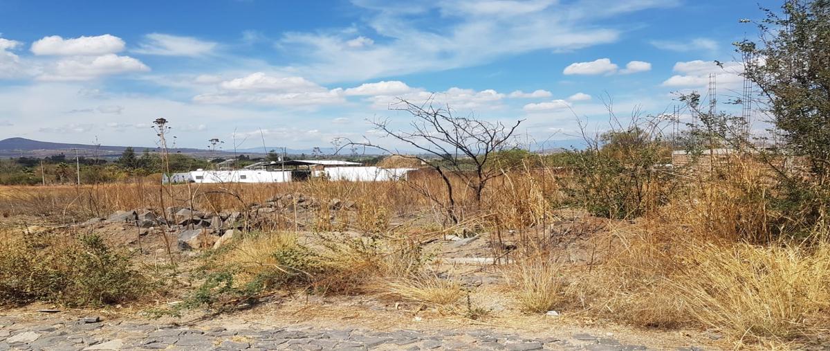 Foto de terreno habitacional en , la laja, zapotlanejo, jalisco, 26760556 foto 01 Foto de terreno habitacional en venta en , la laja, zapotlanejo, jalisco, 26760556 No. 01
