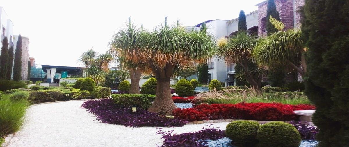 Foto de departamento en venta en  , la lejona, san miguel de allende, guanajuato, 0 No. 05