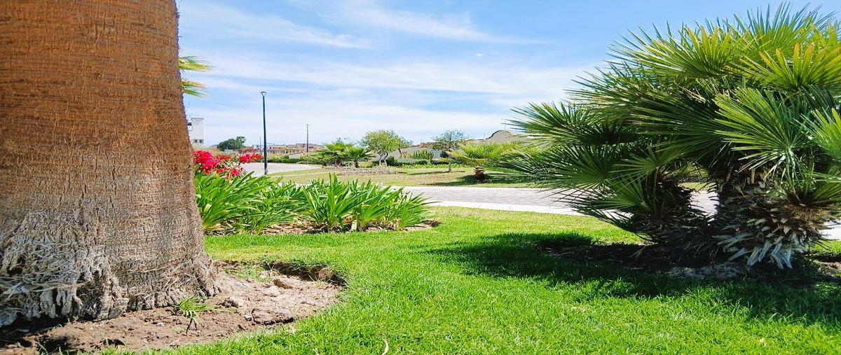 Foto de casa en venta en  , la lejona, san miguel de allende, guanajuato, 0 No. 04