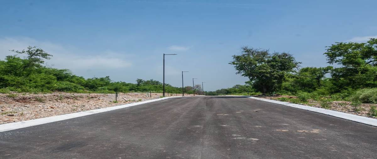 Foto de terreno habitacional en venta en la leona , la soledad (el tamani), santiago tuxtla, veracruz de ignacio de la llave, 0 No. 06