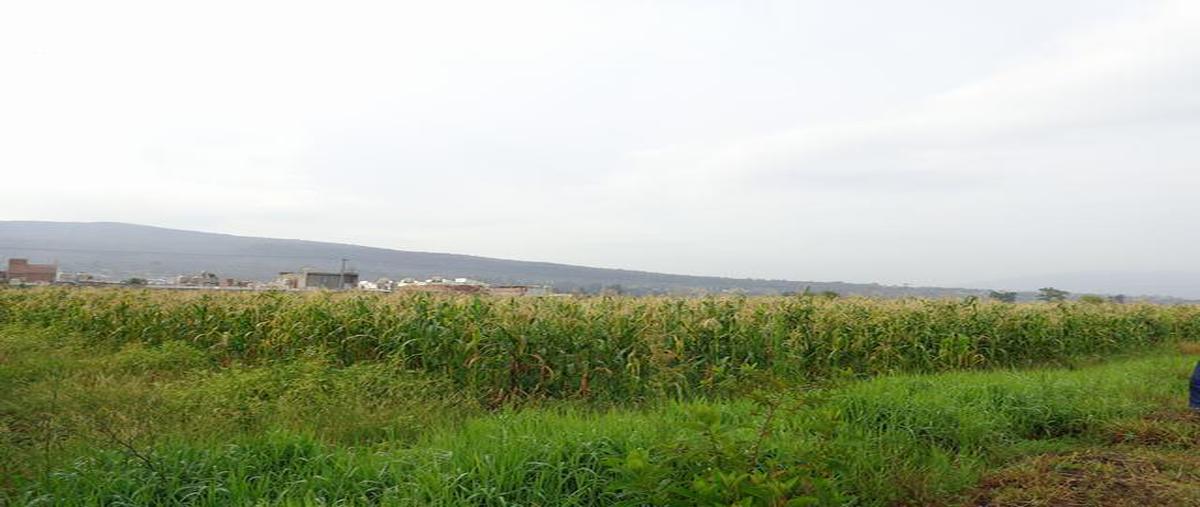 Foto de terreno habitacional en venta en  , la libertad, zamora, michoacán de ocampo, 18090487 No. 03