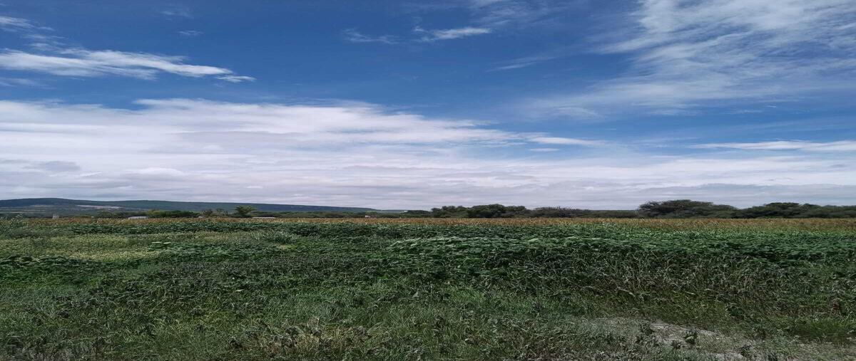 Foto de terreno industrial en venta en  , la llorona, san josé iturbide, guanajuato, 29227396 No. 05