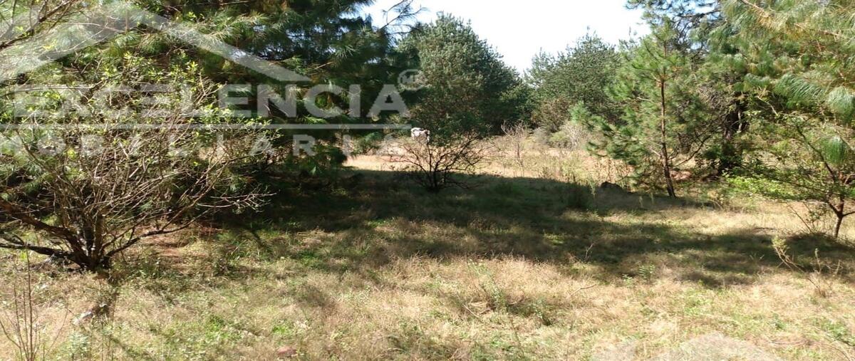 Foto de terreno habitacional en venta en la lobera , cuanajo, pátzcuaro, michoacán de ocampo, 0 No. 03