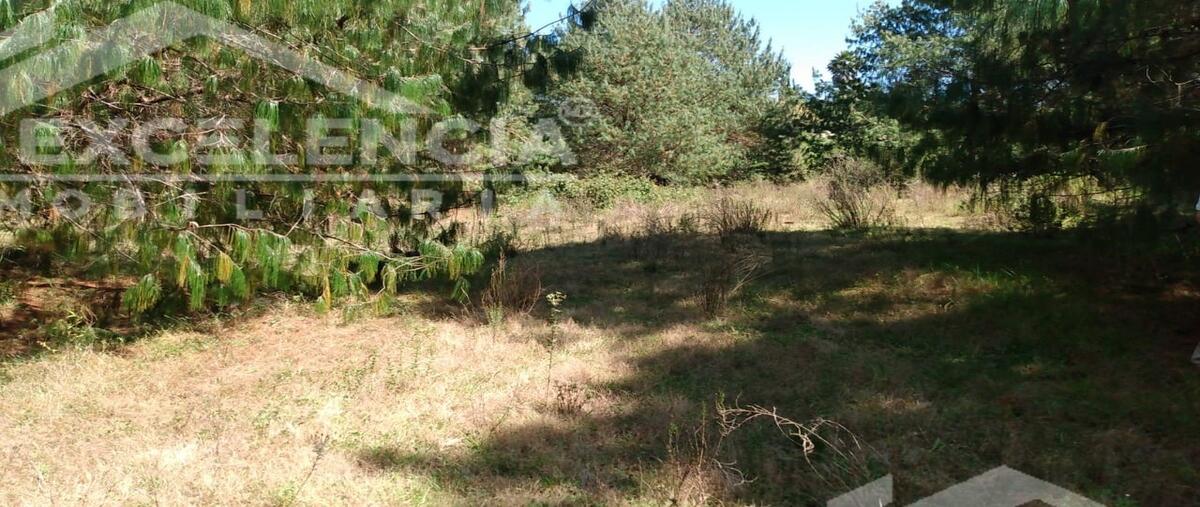 Foto de terreno habitacional en venta en la lobera , cuanajo, pátzcuaro, michoacán de ocampo, 0 No. 04