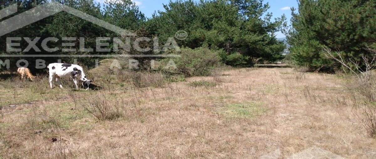 Foto de terreno habitacional en venta en la lobera , cuanajo, pátzcuaro, michoacán de ocampo, 0 No. 05