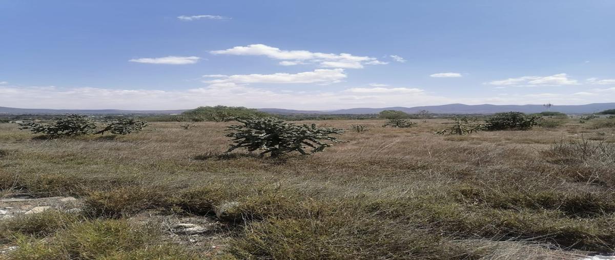 Foto de terreno habitacional en venta en  , la loma, actopan, hidalgo, 26358486 No. 04