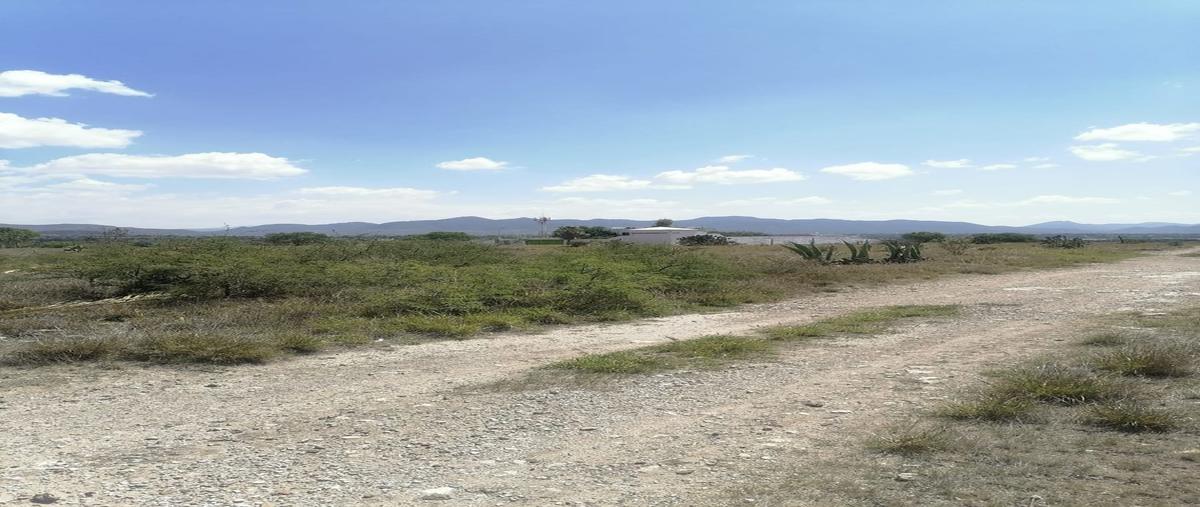 Foto de terreno habitacional en venta en  , la loma, actopan, hidalgo, 26358486 No. 05