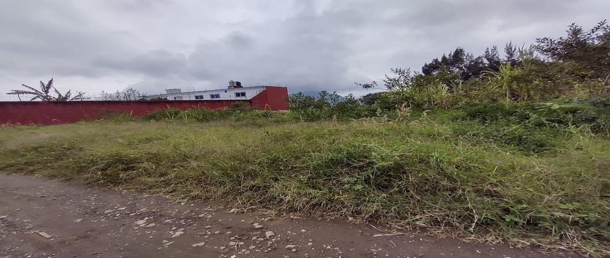 Foto de terreno habitacional en venta en la loma whi297381, la loma, mariano escobedo, veracruz de ignacio de la llave, 0 No. 02
