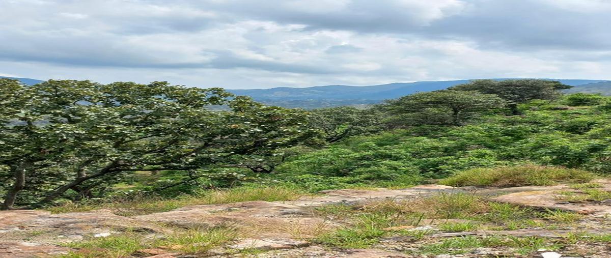 Foto de terreno habitacional en , la loma, zapopan, jalisco, 27408580 foto 02 Foto de terreno habitacional en venta en , la loma, zapopan, jalisco, 27408580 No. 02