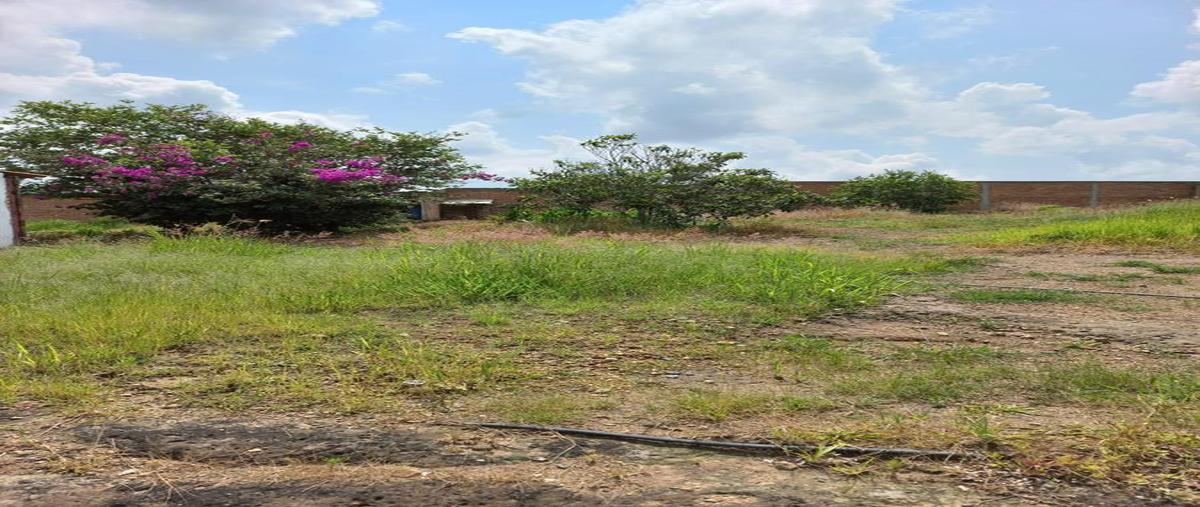 Foto de terreno habitacional en venta en  , la loma, zapopan, jalisco, 0 No. 03