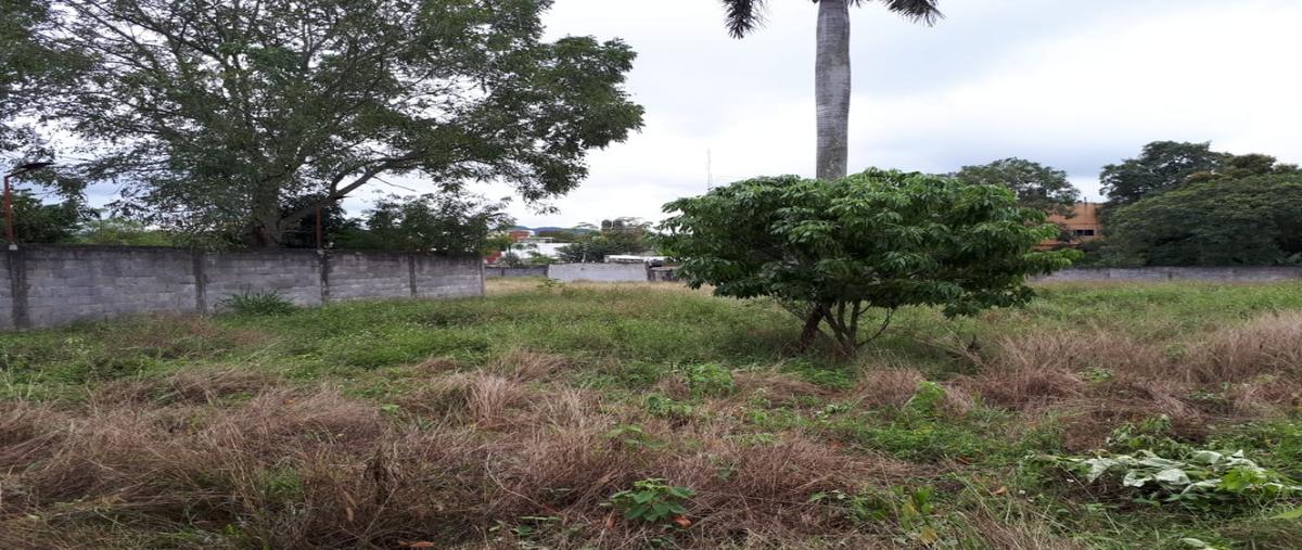 Foto de terreno habitacional en , la lomita, huejutla de reyes, hidalgo, 20183223 foto 05 Foto de terreno habitacional en venta en , la lomita, huejutla de reyes, hidalgo, 20183223 No. 05