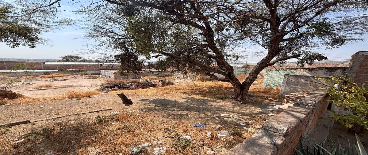 Foto de terreno habitacional en venta en  , la lucita, león, guanajuato, 29411517 No. 03