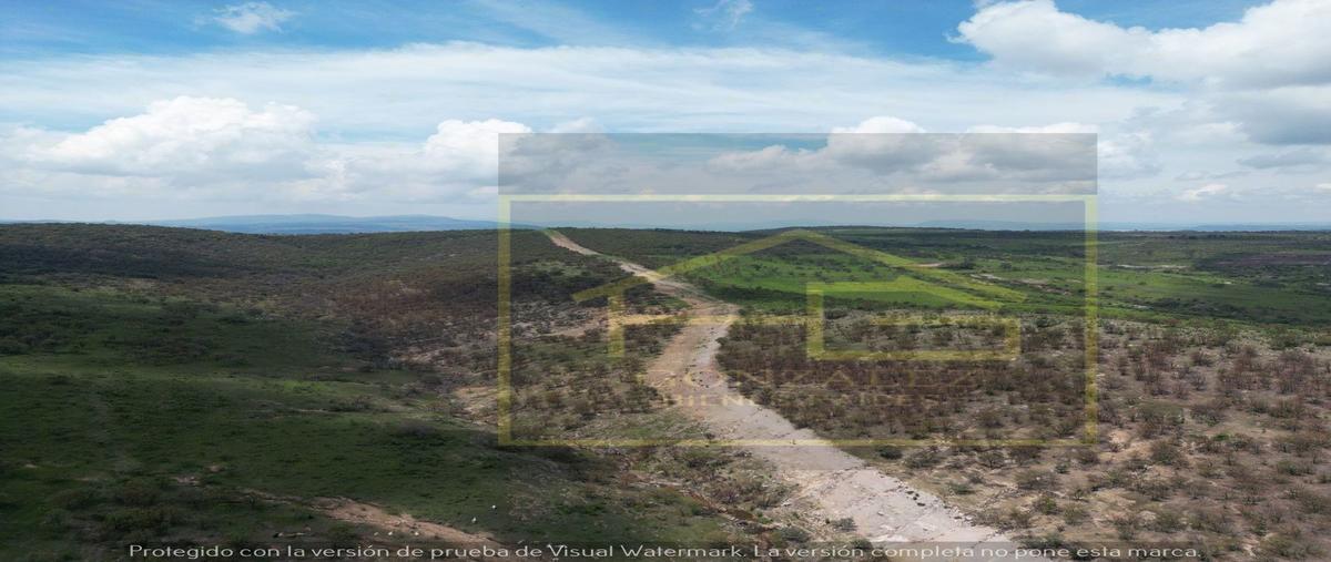 Foto de rancho en venta en la luz , ciudad cañadas de obregón, cañadas de obregón, jalisco, 25712273 No. 04