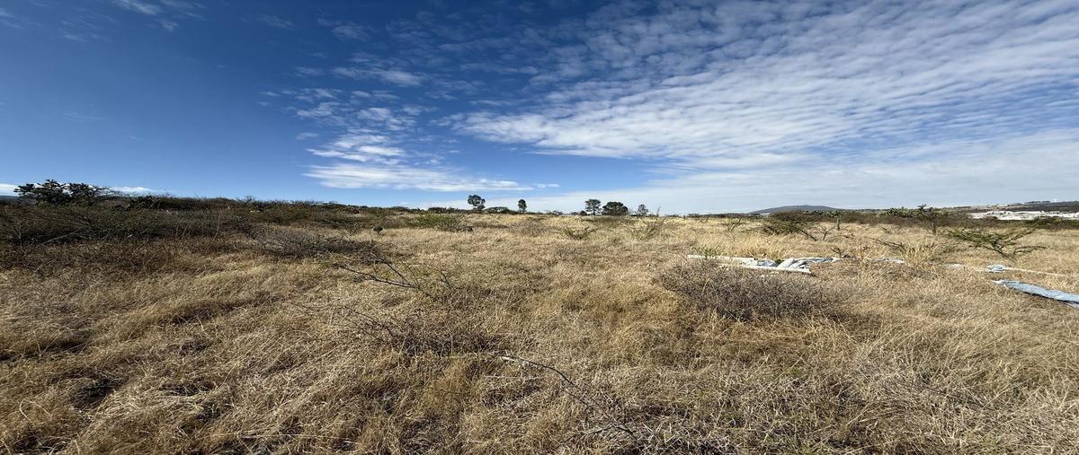 Foto de terreno habitacional en venta en la machorra , el rosario, el marqués, querétaro, 0 No. 03