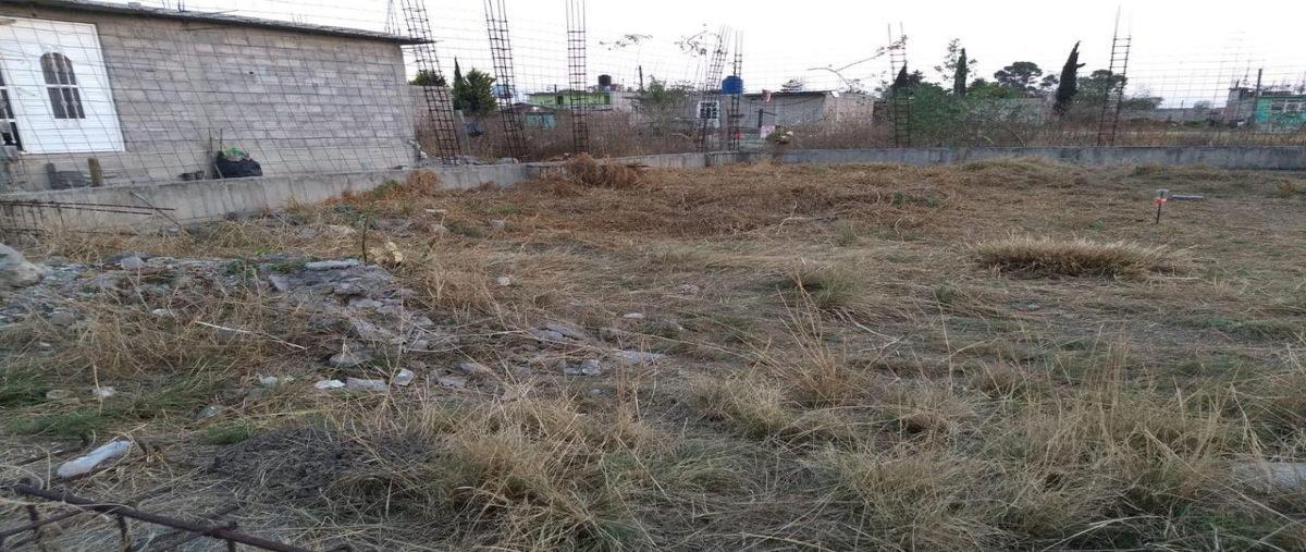Foto de terreno habitacional en venta en  , la magdalena panoaya, texcoco, méxico, 0 No. 03