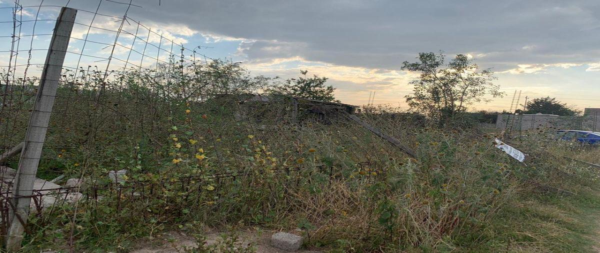 Foto de terreno habitacional en venta en  , la magdalena panoaya, texcoco, méxico, 0 No. 04