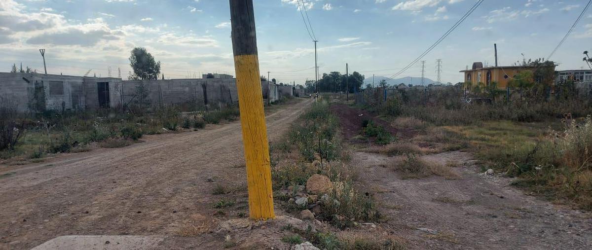 Foto de terreno habitacional en venta en  , la magdalena panoaya, texcoco, méxico, 0 No. 05