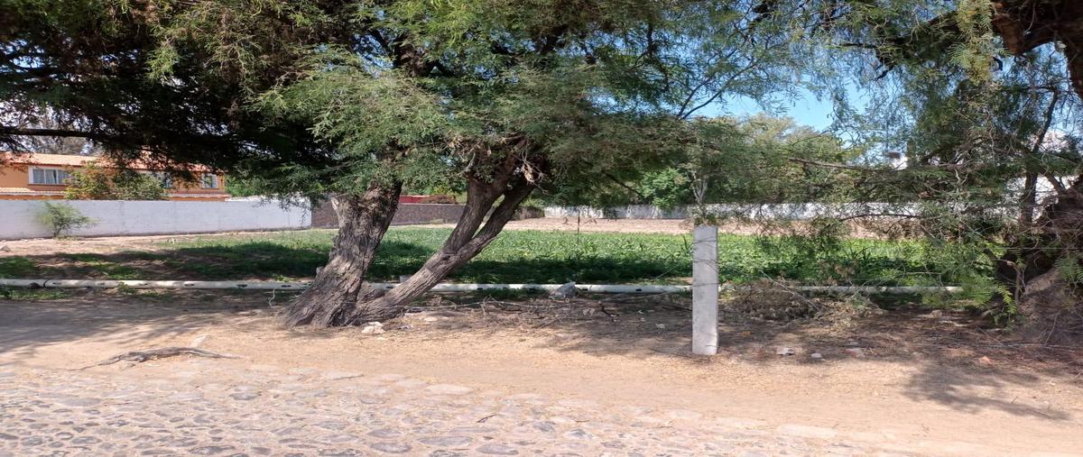 Foto de terreno habitacional en venta en  , la magdalena, tequisquiapan, querétaro, 0 No. 05
