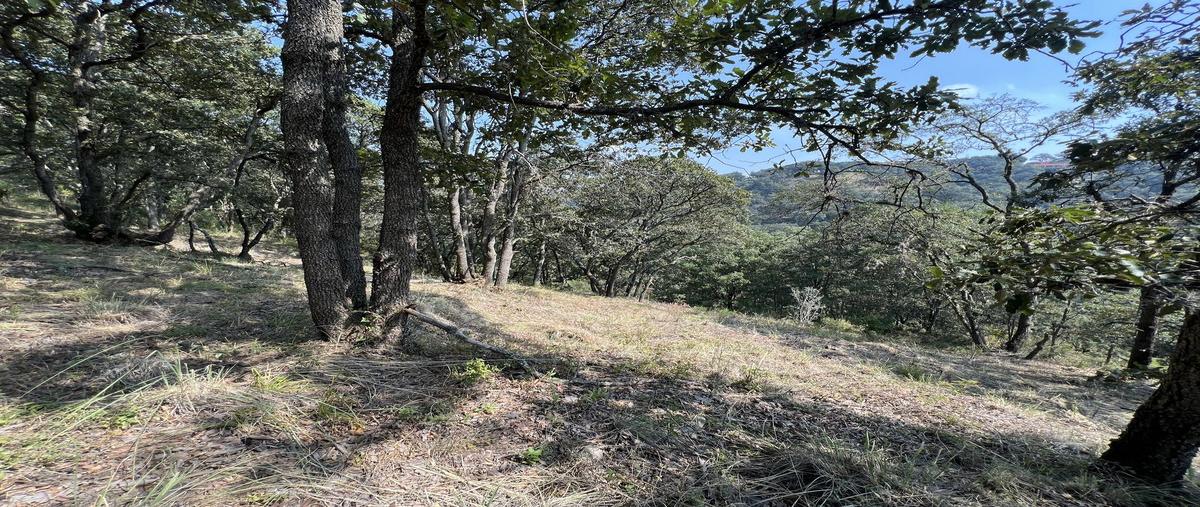 Foto de terreno habitacional en venta en la malagueña , villa del carbón, villa del carbón, méxico, 27747640 No. 03